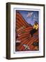 Christ in the Wilderness-Laura James-Framed Giclee Print