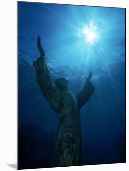 Christ of the Abyss Statue, Pennekamp State Park, FL-Shirley Vanderbilt-Mounted Premium Photographic Print