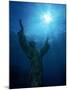 Christ of the Abyss Statue, Pennekamp State Park, FL-Shirley Vanderbilt-Mounted Premium Photographic Print