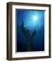 Christ of the Abyss Statue, Pennekamp State Park, FL-Shirley Vanderbilt-Framed Premium Photographic Print