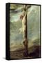 Christ on the Cross-Peter Paul Rubens-Framed Stretched Canvas