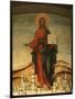 Wood Mount