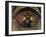 Christ Pantocrator, in the Apse, Byzantine, 12th Century-null-Framed Giclee Print