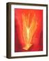 Christ Rose from the Tomb in Glory at Easter, Transformed, as If in a Blazing Fire of Charity, as T-Elizabeth Wang-Framed Giclee Print