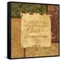 Christ Strengthens-Piper Ballantyne-Framed Stretched Canvas