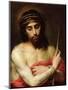 Christ the Man of Sorrows-Bartolome Esteban Murillo-Mounted Premium Giclee Print