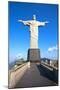 Christ The Redeemer Statue In Rio De Janeiro In Brazil-OSTILL-Mounted Photographic Print