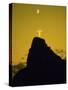 Christ the Redeemer Statue Mount Corcovado Rio de Janeiro Brazil-null-Stretched Canvas