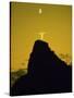 Christ the Redeemer Statue Mount Corcovado Rio de Janeiro Brazil-null-Stretched Canvas