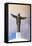 Christ the Redeemer Statue-Jane Sweeney-Framed Stretched Canvas