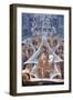 Christ with the Soul of the Virgin at the Gates of Heaven, 1321-1322-null-Framed Giclee Print