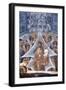 Christ with the Soul of the Virgin at the Gates of Heaven, 1321-1322-null-Framed Giclee Print