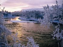 Snowy Riverscape, Vindelfjallen Nr, Umea, Sweden-Christer Fredriksson-Framed Premium Photographic Print