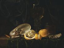 Nautilus Shell, a Roemer Beer Glass, an Orange and a Lemon on a Pewter Plate-Christiaen Luyckx-Stretched Canvas