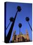 Christian Cathedral and Palm Trees, Palermo, Sicily, Italy, Mediterranean, Europe-Oliviero Olivieri-Stretched Canvas