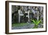 Christian Cross, Matinioc Shrine, Bacuit Archipelago, Palawan, Philippines-Michael Runkel-Framed Photographic Print