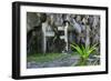 Christian Cross, Matinioc Shrine, Bacuit Archipelago, Palawan, Philippines-Michael Runkel-Framed Photographic Print