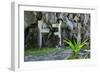 Christian Cross, Matinioc Shrine, Bacuit Archipelago, Palawan, Philippines-Michael Runkel-Framed Photographic Print