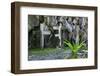 Christian Cross, Matinioc Shrine, Bacuit Archipelago, Palawan, Philippines-Michael Runkel-Framed Photographic Print