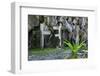 Christian Cross, Matinioc Shrine, Bacuit Archipelago, Palawan, Philippines-Michael Runkel-Framed Photographic Print