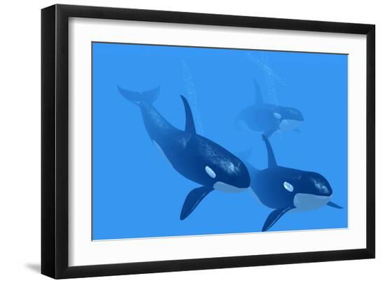 Premium Photographic Print, , large