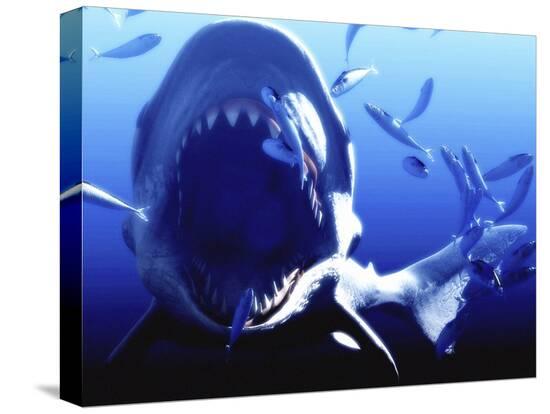 Stretched Canvas Print, , large