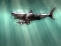Megalodon Prehistoric Shark with Human-Christian Darkin-Photographic Print