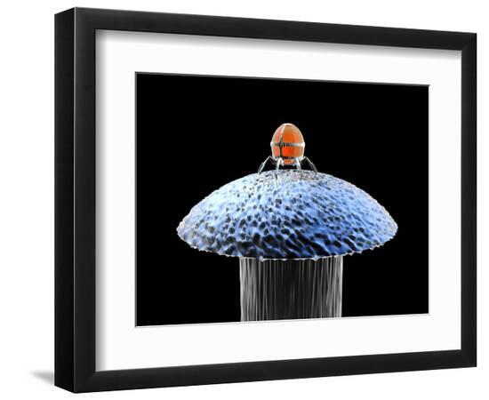 Premium Photographic Print, , large