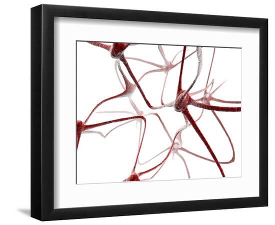 Premium Photographic Print, , large