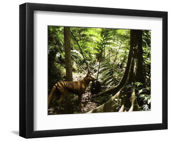 Premium Photographic Print, , large