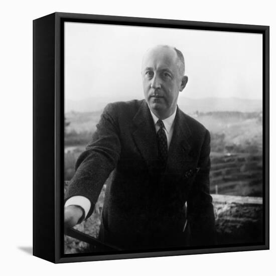 Christian Dior-null-Framed Stretched Canvas