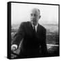 Christian Dior-null-Framed Stretched Canvas