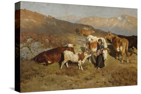 Stretched Canvas Print, , large