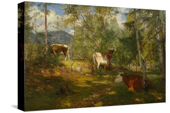Stretched Canvas Print, , large