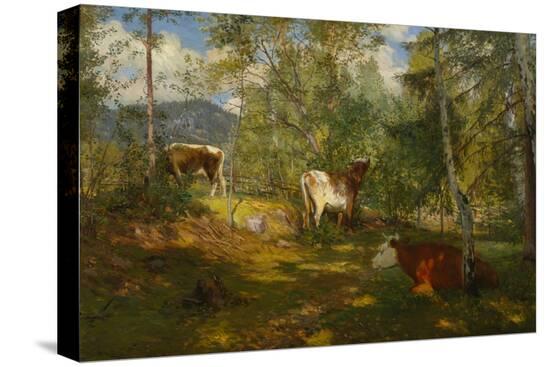 Stretched Canvas Print, , large