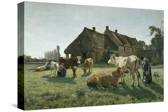 Stretched Canvas Print, , large