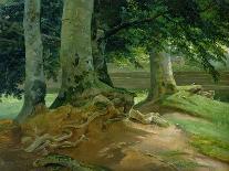 Beech Trees in Frederiksdal Near Copenhagen, 1828-Christian Ernst Bernhard Morgenstern-Giclee Print