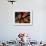 Christian Girls Paint their Hands with Henna Paste in Preperation for Easter Holiday in Pakistan-null-Framed Photographic Print displayed on a wall