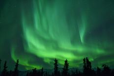 Aurora Borealis at Chena Hot Springs, Fairbanks, Alaska, Usa-Christian Heeb-Photographic Print