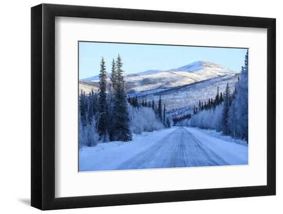 Premium Photographic Print, , large