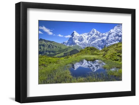 Photographic Print, , large
