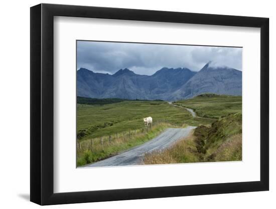 Photographic Print, , large