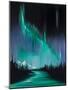 Wood Mount