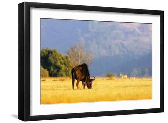 Photographic Print, , large