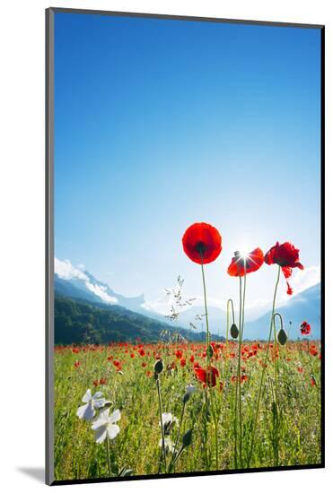 Photographic Print, , large