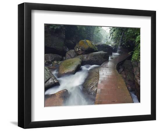 Premium Photographic Print, , large