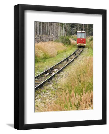 Premium Photographic Print, , large