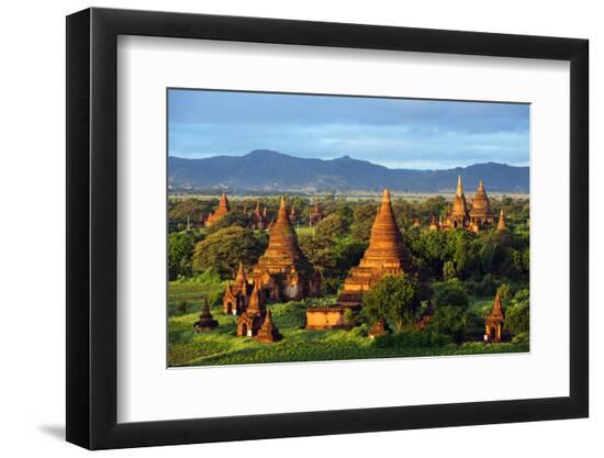 Premium Photographic Print, , large