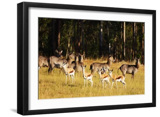 Premium Photographic Print, , large