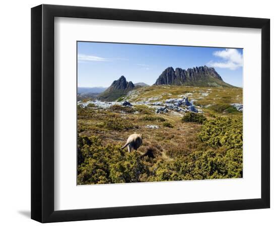 Premium Photographic Print, , large